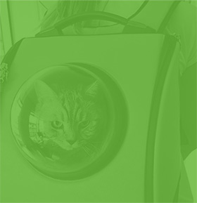 Подарочный чехол